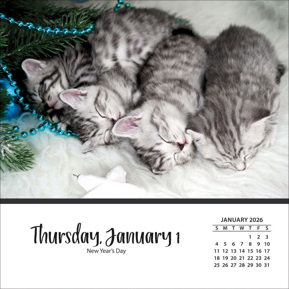Cats And Kittens 2026 Desk Calendar_ALT2