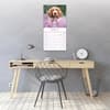 image Irish Setter 2027 Wall Calendar Third Alternate Image