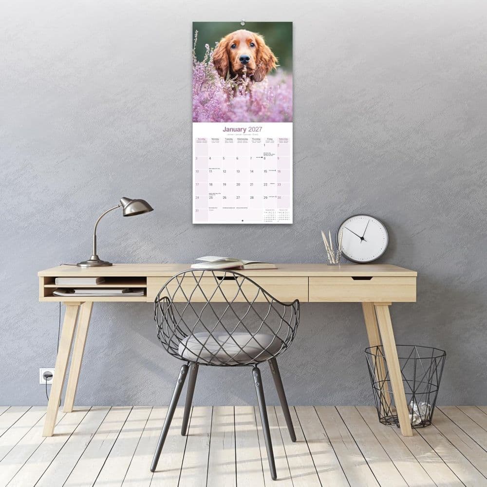 Irish Setter 2027 Wall Calendar Third Alternate Image