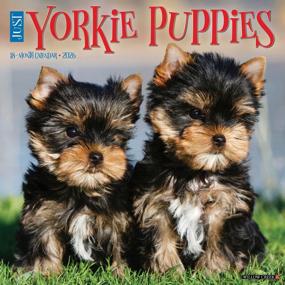 Just Yorkie Puppies 2026 Wall Calendar Main Image