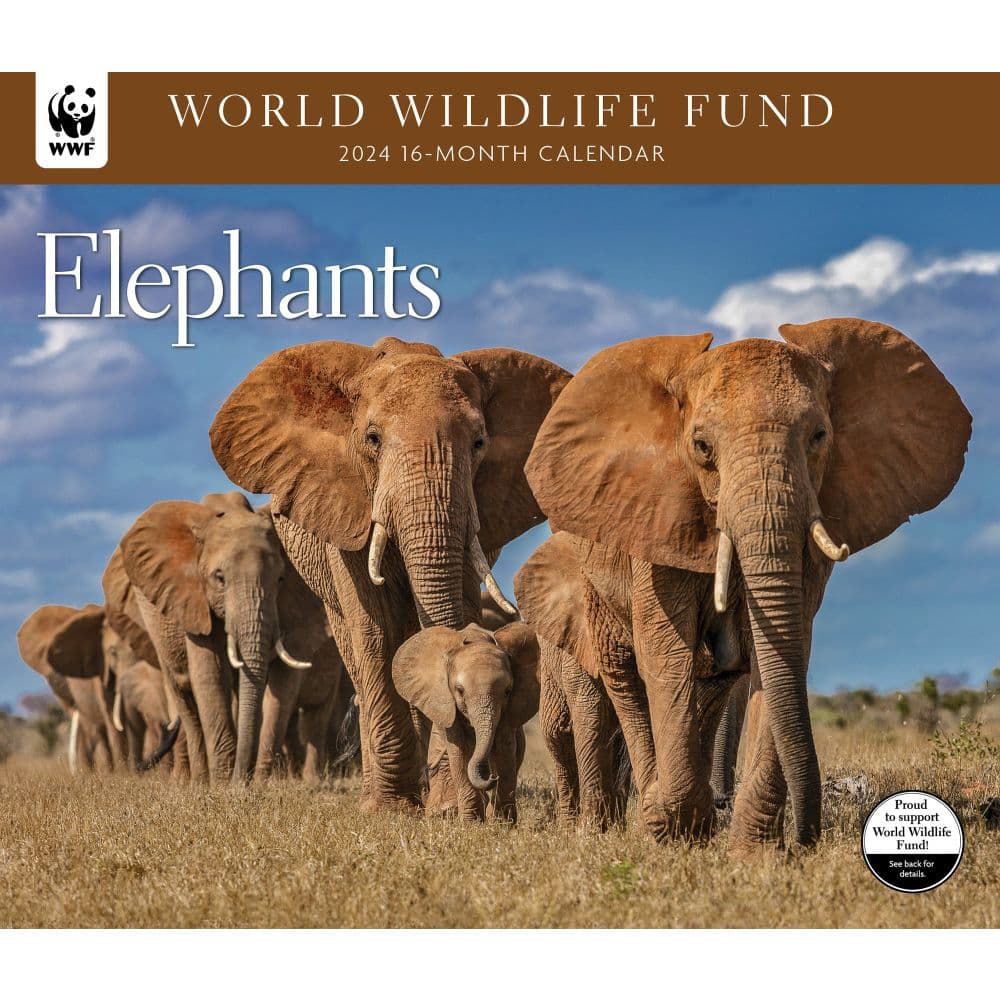 Elephants WWF 2024 Wall Calendar Calendars Com   D458636c 48b7 46ee 82e7 F592aa4141f4