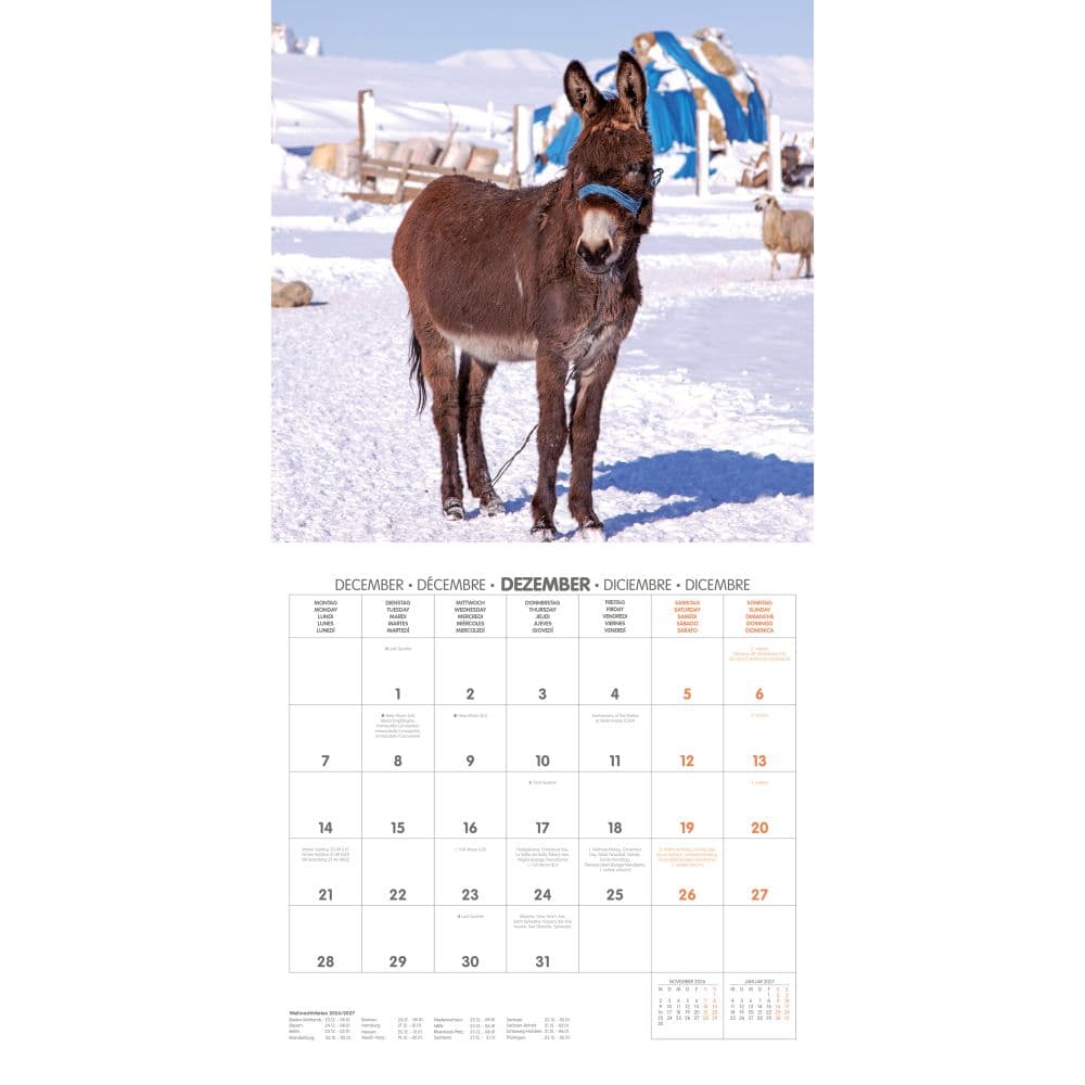 Donkeys 2026 Wall Calendar Fourth Alternate Image