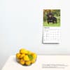 image Dachshunds 2025 Mini Wall Calendar