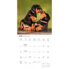 image Just Rottweiler Puppies 2026 Wall Calendar Third Alternate Image