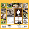 image Cats Photo 2024 Wall Calendar Alternate Image 1