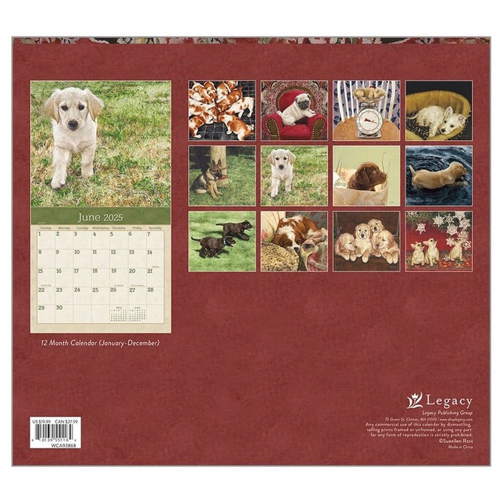 Puppies 2025 Wall Calendar First Alternate Image width=&quot;1000&quot; height=&quot;1000&quot;