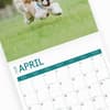 image Shih Tzu 2025 Wall Calendar Sixth Alternate Image