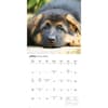 image Just German Shepherd Puppies 2026 Wall Calendar Third Alternate Image