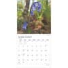 image Wildflowers Plato 2025 Wall Calendar