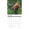 image Garden Birds 2026 Wall Calendar Second Alternate Image