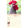 image How to Speak Chicken 2025 Wall Calendar First Alternate Image width="1000" height="1000"