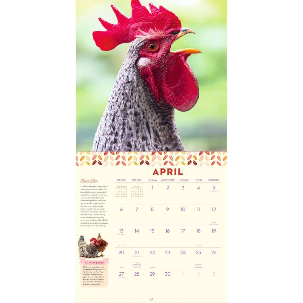 How to Speak Chicken 2025 Wall Calendar First Alternate Image width="1000" height="1000"