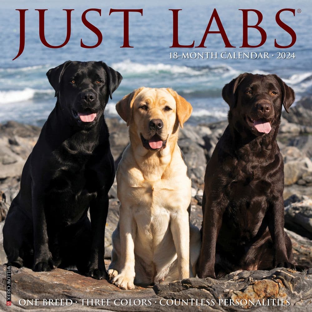 Just Labs 2024 Wall Calendar