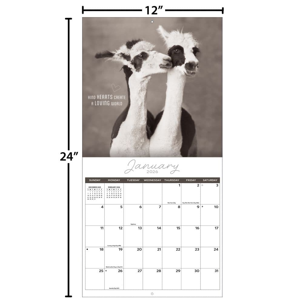 Rachael Hale Loveable Animals 2026 Wall Calendar Fourth Alternate Image