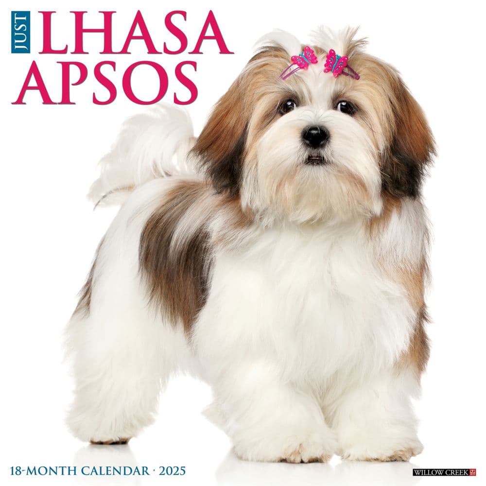 Lhasa Apsos 2025 Wall Calendar  Main Image