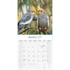 image Cockatiels 2027 Wall Calendar Second Alternate Image