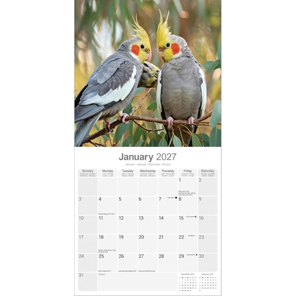 Cockatiels 2027 Wall Calendar Second Alternate Image