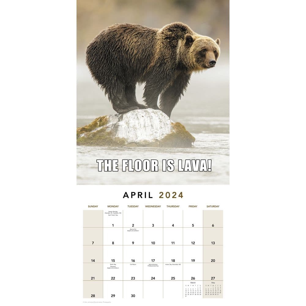 Animal Memes 2024 Wall Calendar Interior 1