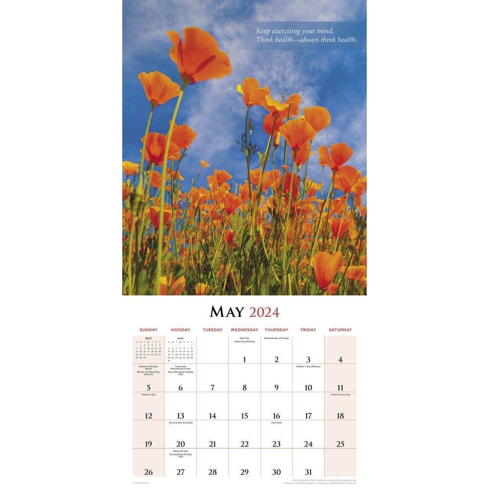 Power of Positive Thinking 2024 Wall Calendar
