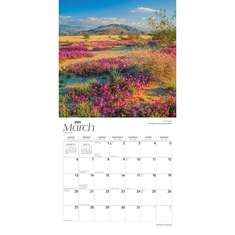2021 LANDSCAPES Wall 12-Month Calendar 11"x24" and small calendar colorful fun 