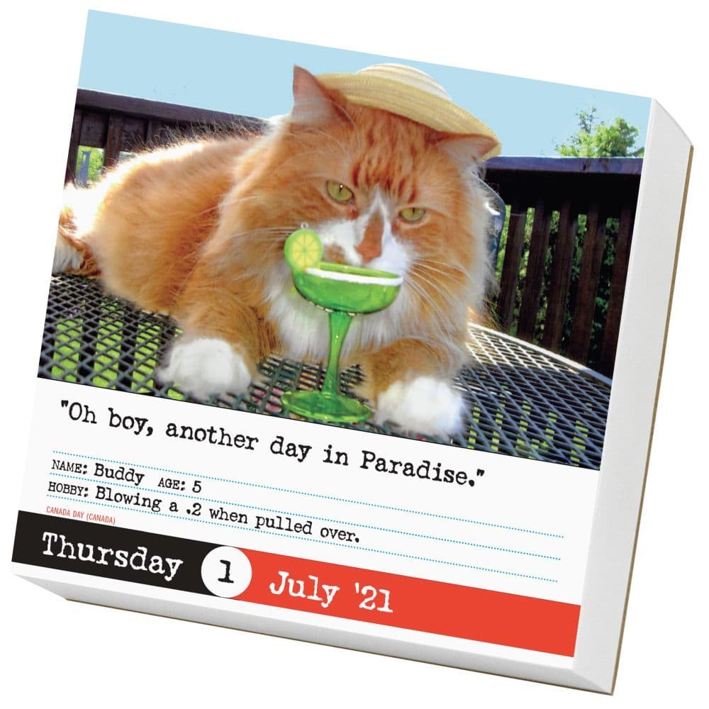 bad-cat-desk-calendar-calendars