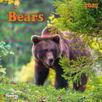 image Bears 2027 Wall Calendar Main Product Image