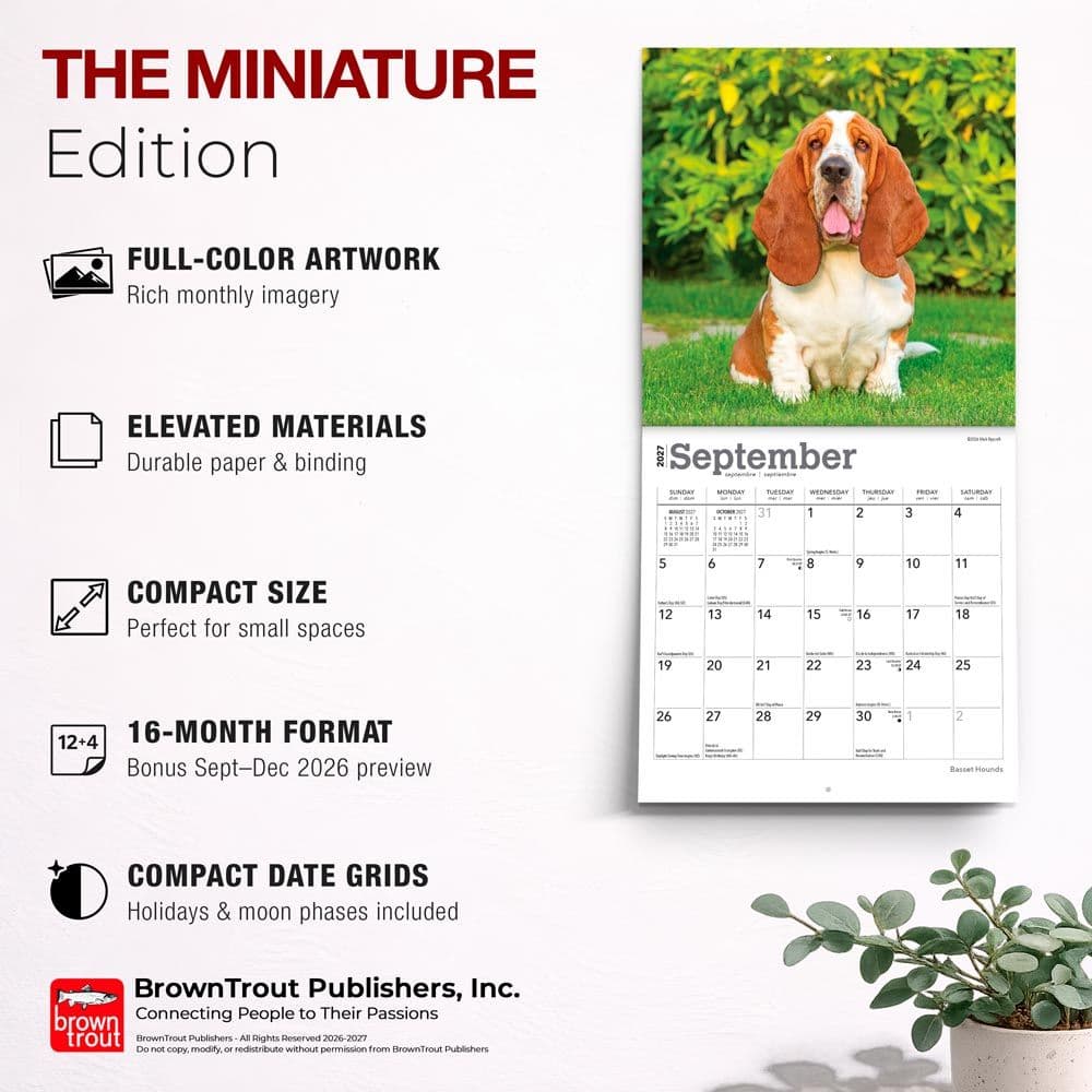 Basset Hound 2027 Mini Wall Calendar Fifth Alternate Image