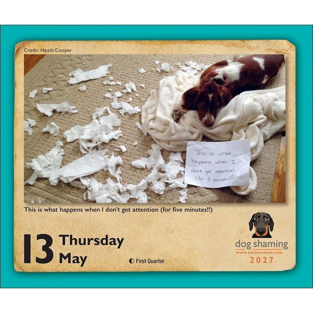 Dog Shaming 2027 Desk Calendar Sixth Alternate Image