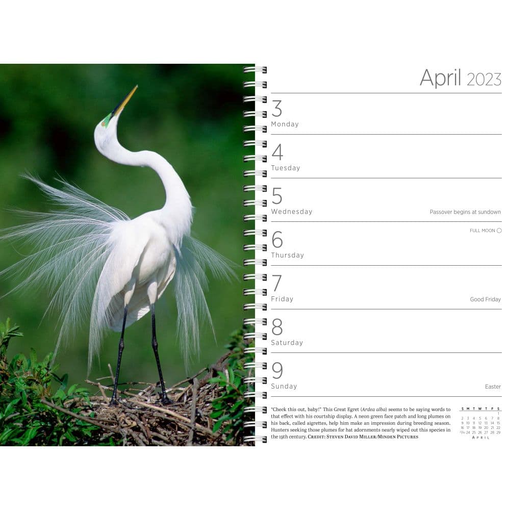 Audubon 2023 Engagement Calendar Calendars