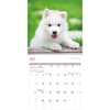 image Puppies 2025 Mini Wall Calendar Third Alternate Image width=&quot;1000&quot; height=&quot;1000&quot;