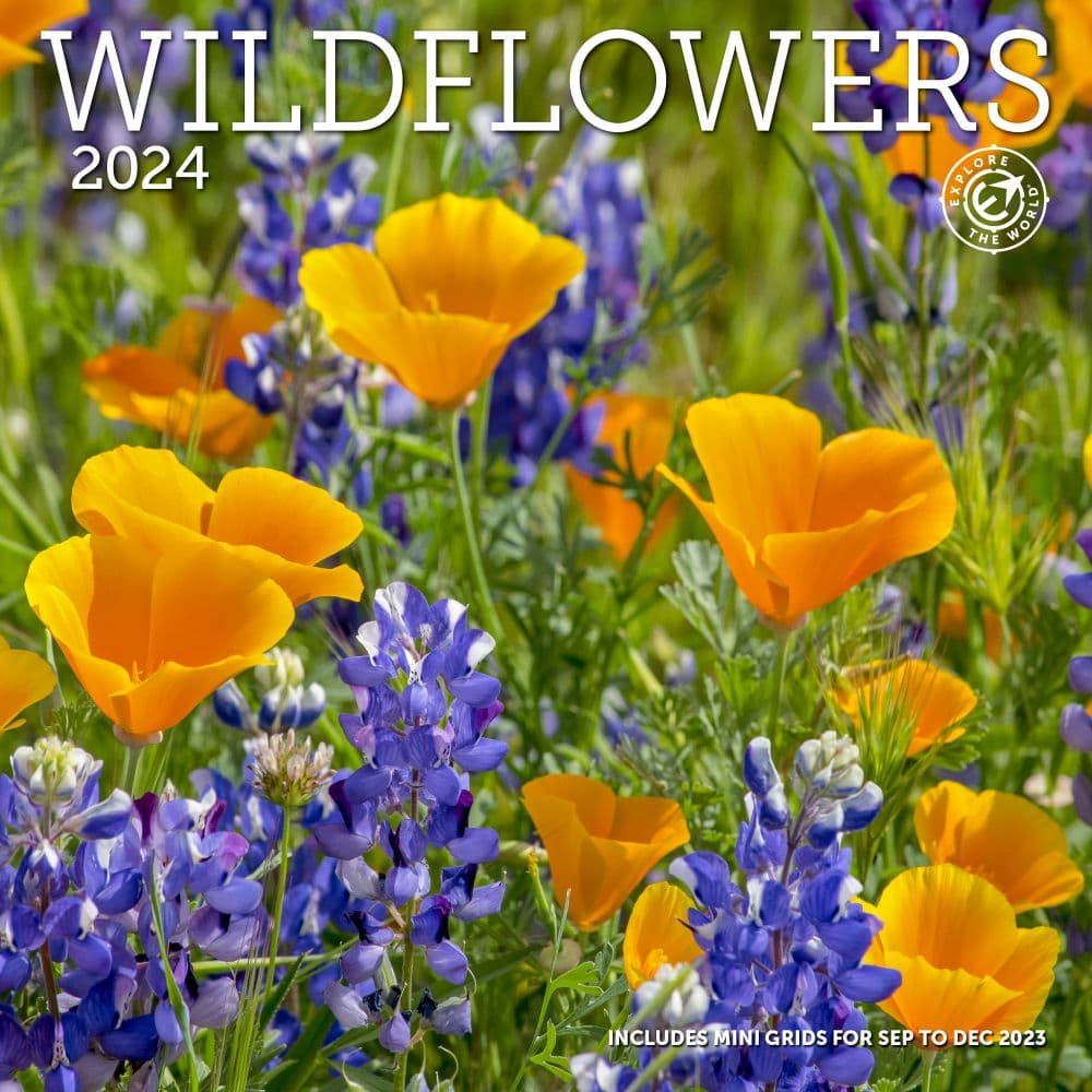 Wildflowers 2024 Wall Calendar Main Product Image width=&quot;1000&quot; height=&quot;1000&quot;