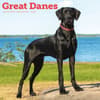 image Great Danes 2026 Wall Calendar Main Product Image