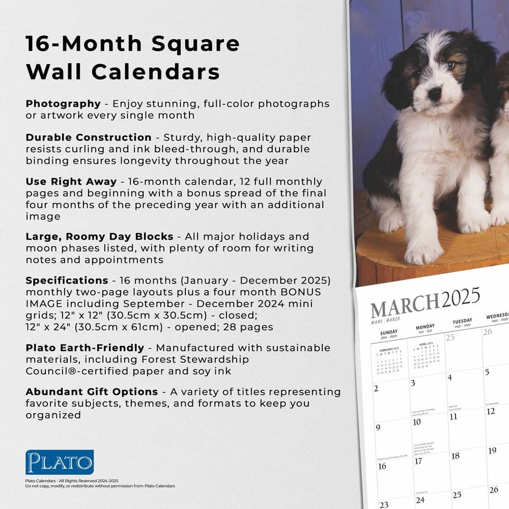 Puppy Pals Plato 2025 Wall Calendar Fifth Alternate Image width=&quot;1000&quot; height=&quot;1000&quot;