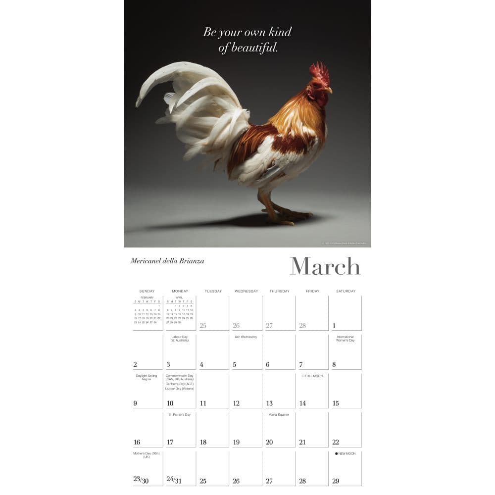 Glamour Chicks 2025 Wall Calendar