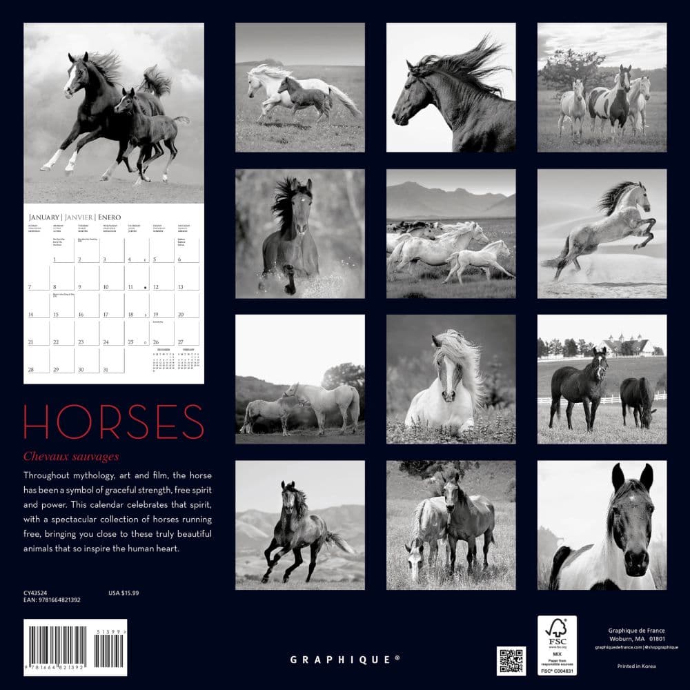 Horses 2024 Wall Calendar