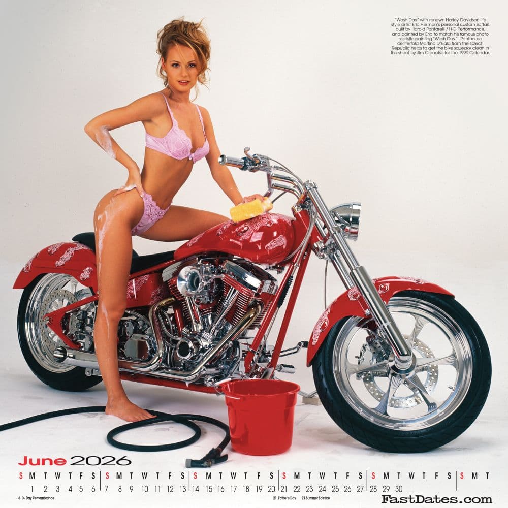Iron and Lace 2026 Wall Calendar Fourth Alternate Image