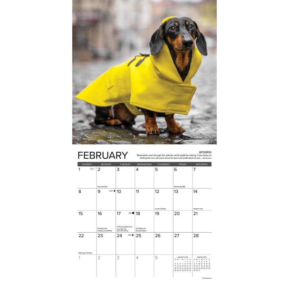 Dachshund Rules 2026 Mini Wall Calendar Second Alternate Image