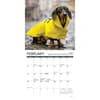 image Dachshund Rules 2026 Mini Wall Calendar Second Alternate Image