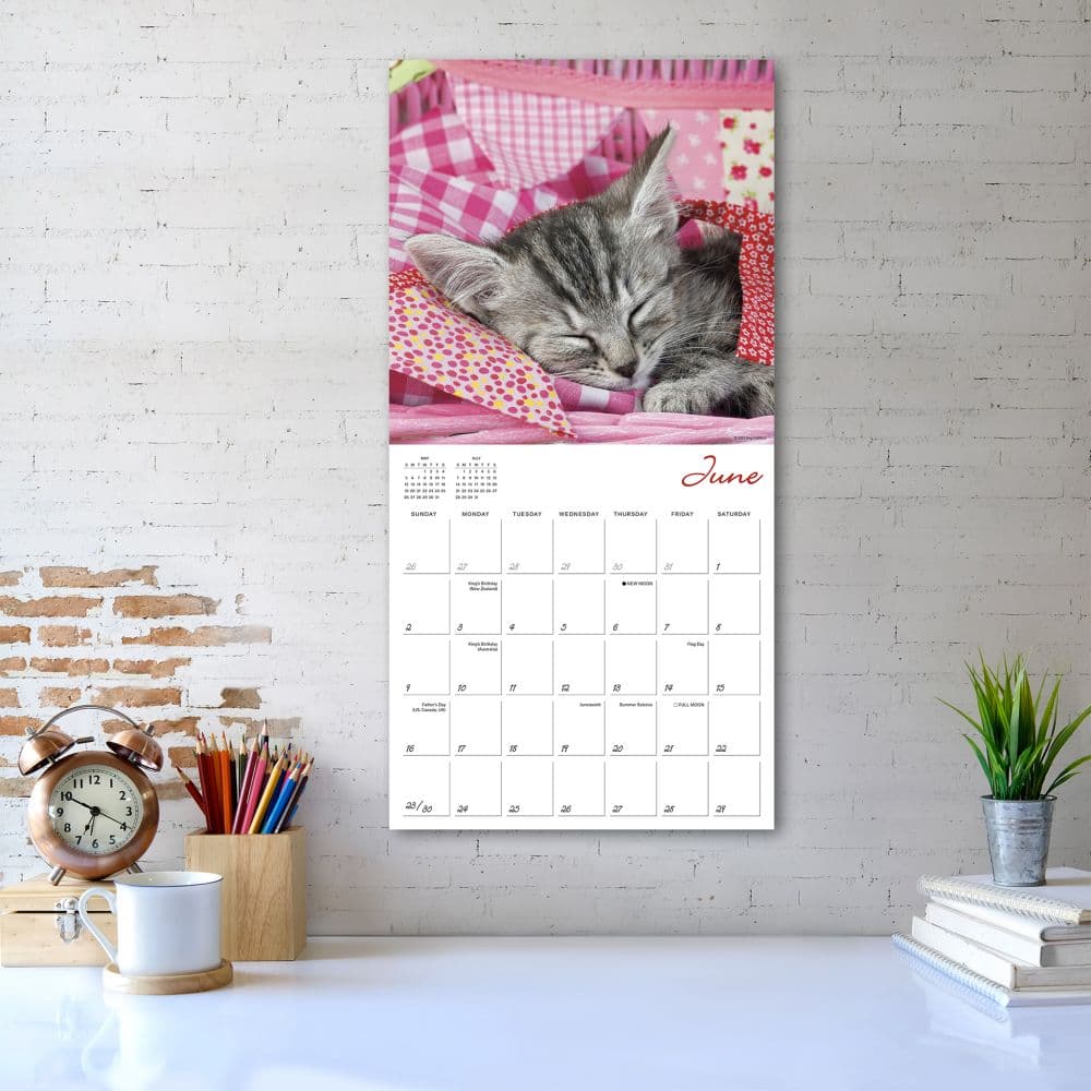 Cat Naps 2024 Wall Calendar