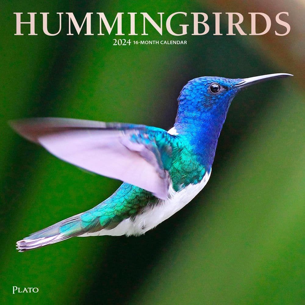 Hummingbirds 2024 Wall Calendar