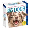 image Dogs 365 2024 Desk Calendar Main Product Image  width=&quot;1000&quot; height=&quot;1000&quot;