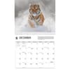 image Tigers WWF 2026 Wall Calendar Fourth Alternate Image