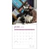 image Cats and Books 2026 Wall Calendar Third Alternate Image