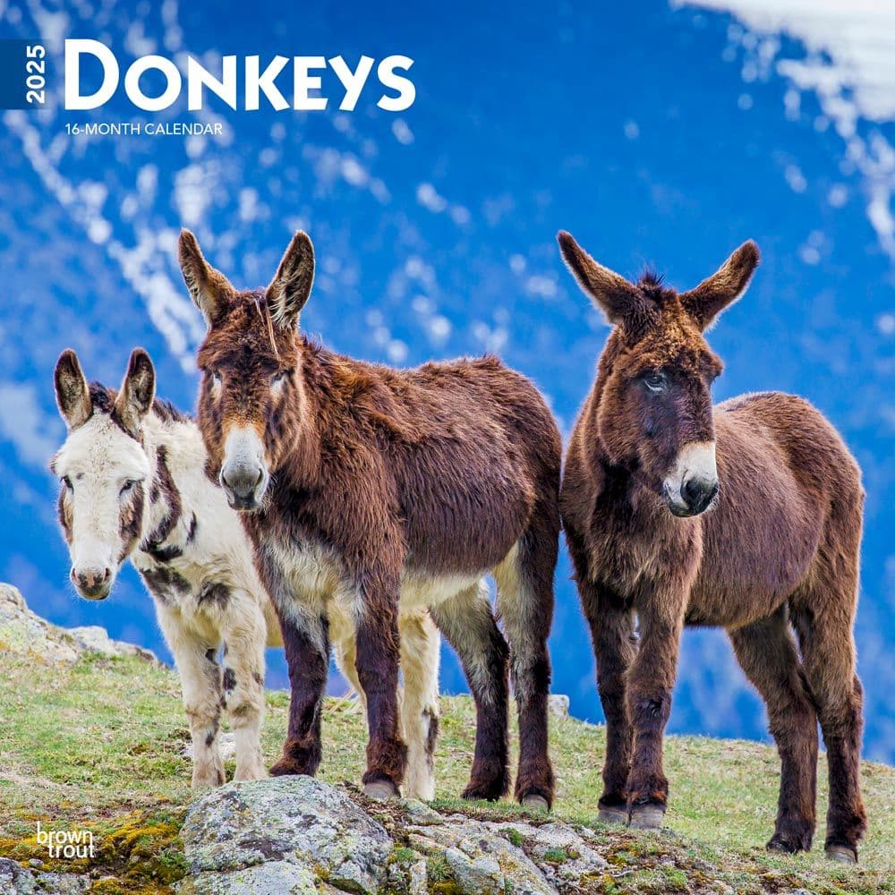 Donkeys 2025 Wall Calendar