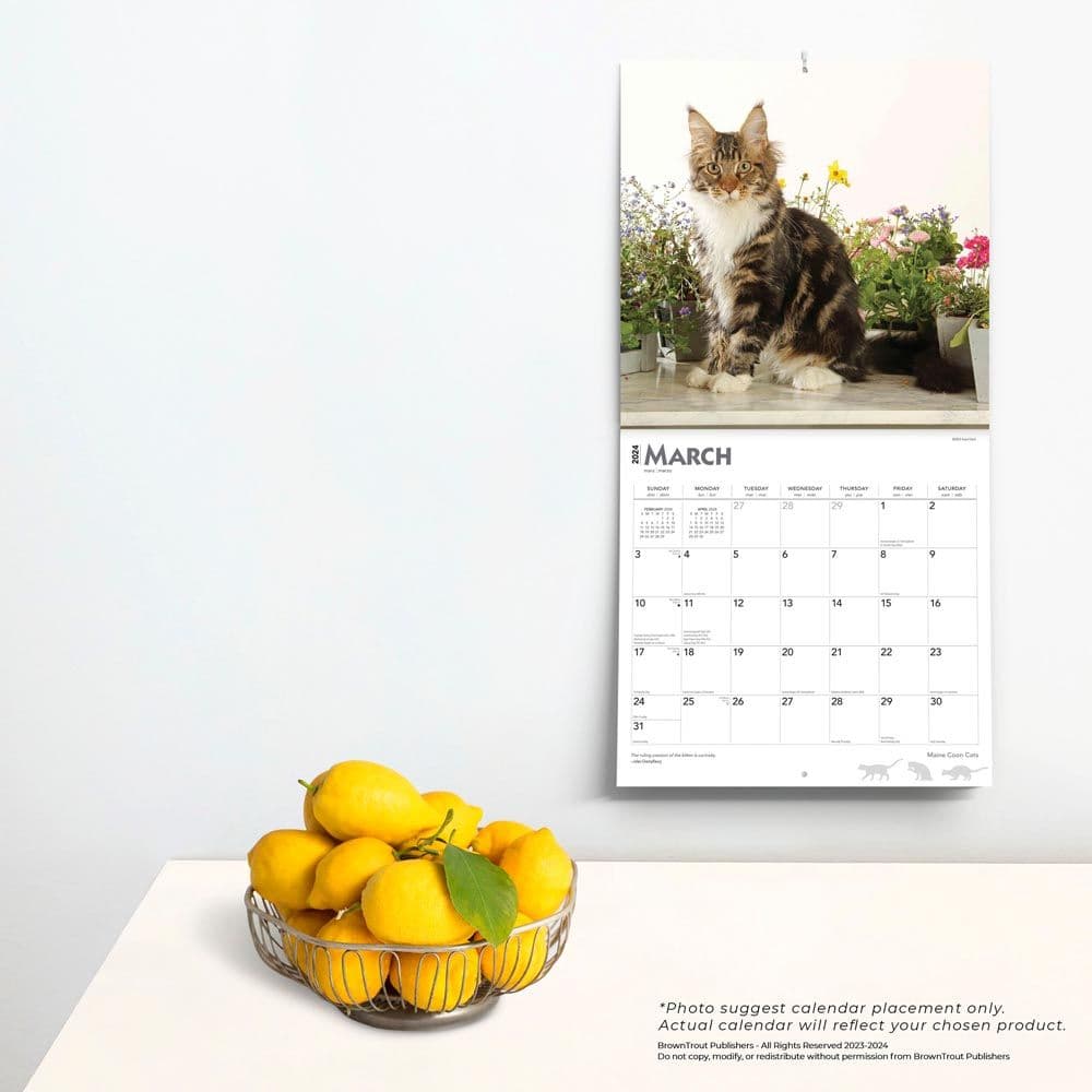 Maine Coon Cats 2024 Wall Calendar Third Alternate Image width=&quot;1000&quot; height=&quot;1000&quot;