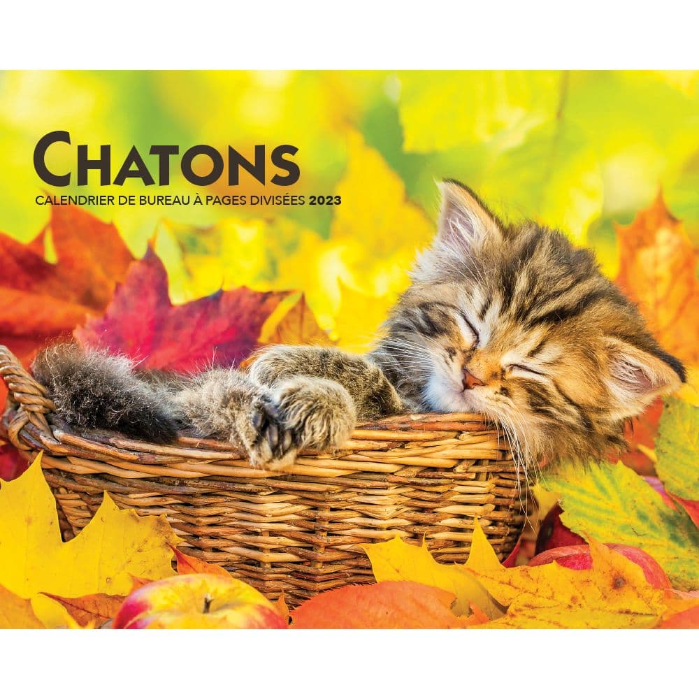 BrownTrout Chatons Double 2023 Easel Desk Calendar