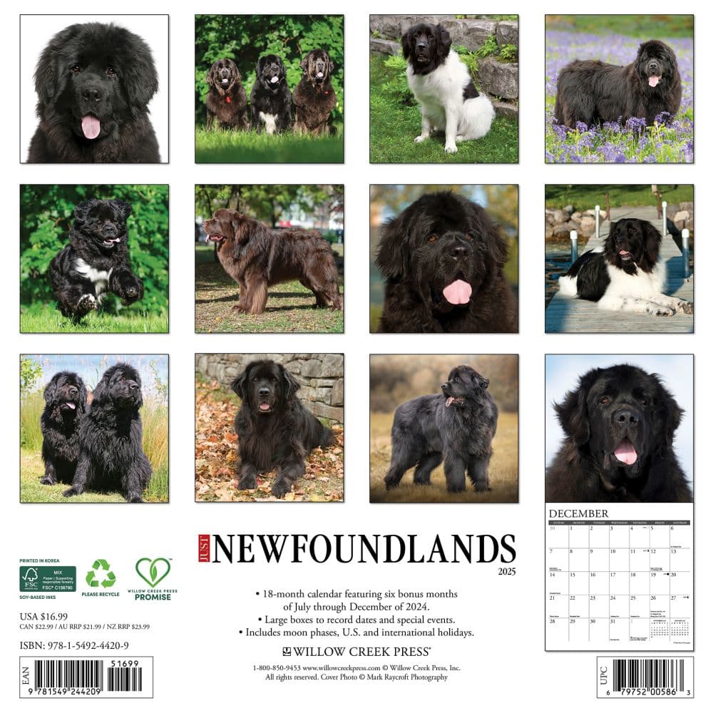 Just Newfoundlands 2025 Wall Calendar First Alternate Image width="1000" height="1000"