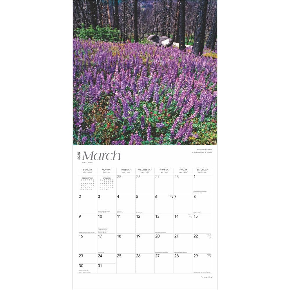 Yosemite 2025 Wall Calendar