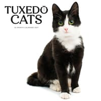 image Tuxedo Cats 2027 Wall Calendar Main Image
