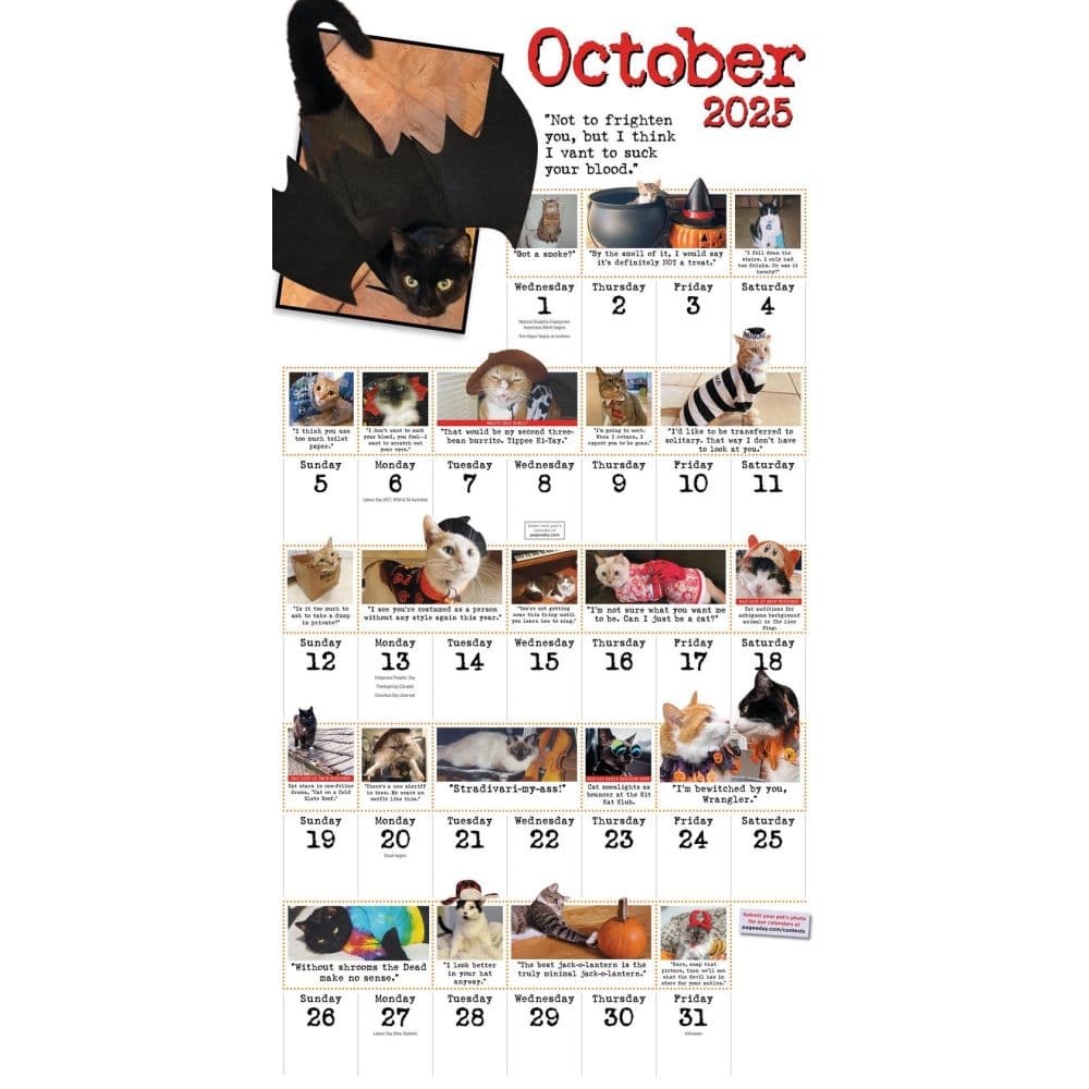 Bad Cat 365 Days 2025 Wall Calendar Second Alternate Image width=&quot;1000&quot; height=&quot;1000&quot;